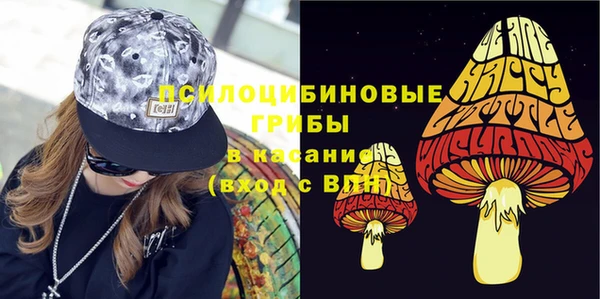 соль ск Абаза