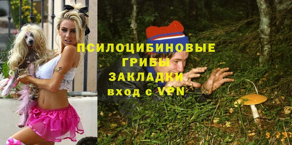 соль ск Абаза