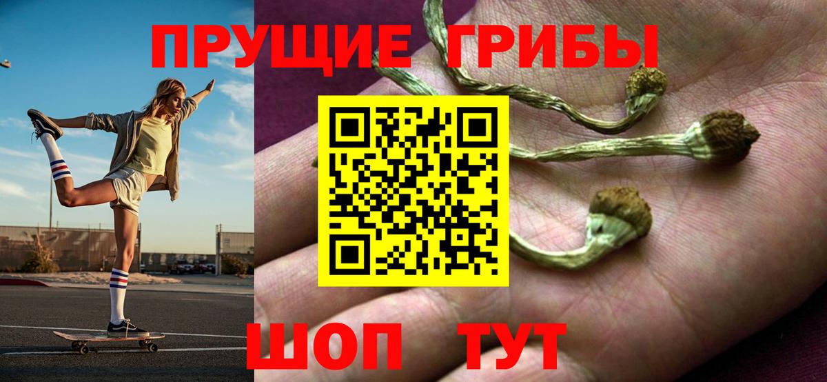 Псилоцибиновые грибы мицелий  Вход с VPN  Галлюциногенные грибы Psilocybe  Электросталь 